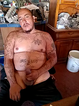 wilsons12 online show from 14, 11, 2025