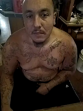 wilsons12 online show from 24, 10, 2025