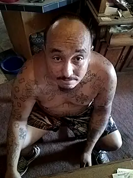 wilsons12 online show from 3, 10, 2025