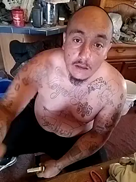 wilsons12 online show from 8, 11, 2025