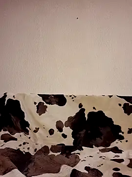 Zgodanilep online show from 24, 10, 2025