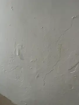 Popinasq online show from 15, 11, 2025