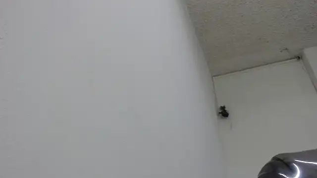sexy lady 0 online show from 13, 2, 2025