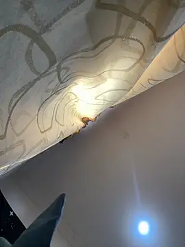 pawmistry online show from 16, 12, 2025