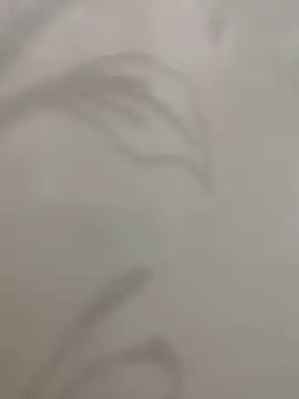 Snapshot of Sheik_z_o chatting on 16, 11, 2025 Sheik z o online show from 16, 11, 2025