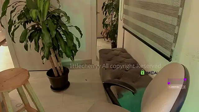  littlecherryy  online show from 21, 12, 2025