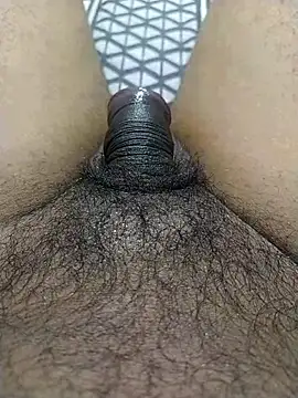 black panth99 online show from 30, 10, 2025