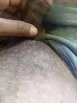 black panth99 online show from 13, 10, 2025