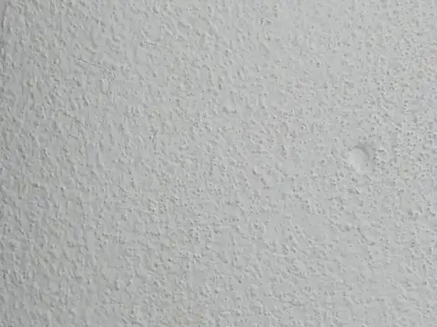 JESSYCORTES online show from 8, 4, 2026