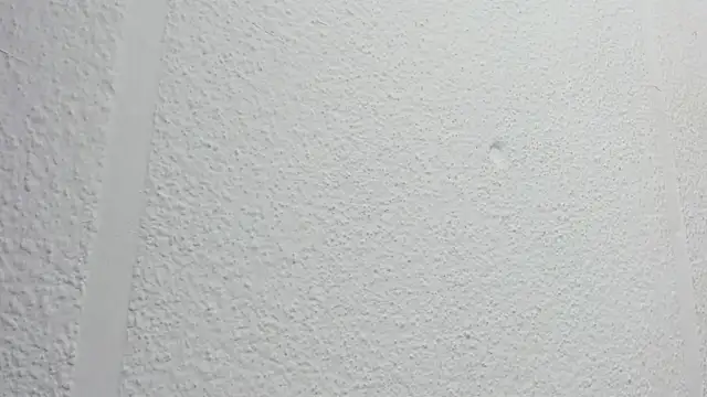 JESSYCORTES online show from 15, 10, 2025