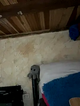 SophiaWeestt99 online show from 15, 11, 2025