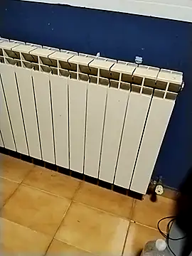 minitranca online show from 9, 1, 2026