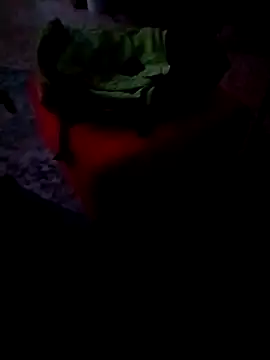 minitranca online show from 26, 2, 2026