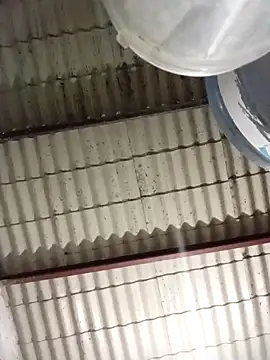 strip 1212 online show from 8, 3, 2026