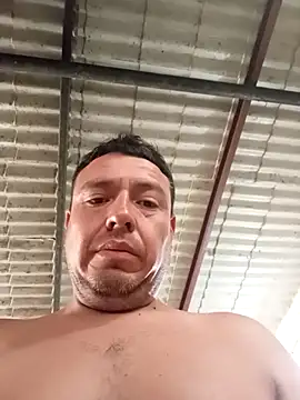 strip 1212 online show from 15, 11, 2025