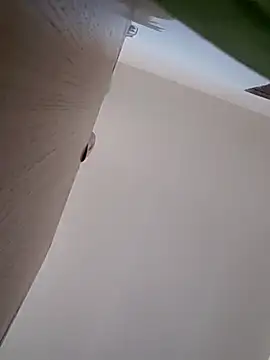 LargeDominoes online show from 3, 4, 2026