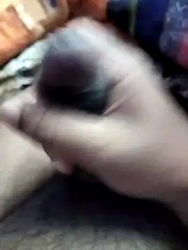 dick 01728 online show from 8, 2, 2025