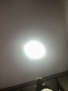 PandoraRider online show from 3, 4, 2026