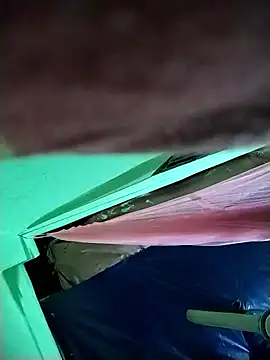 Snapshot of Shapla_1 chatting on 8, 1, 2026 Shapla 1 online show from 8, 1, 2026