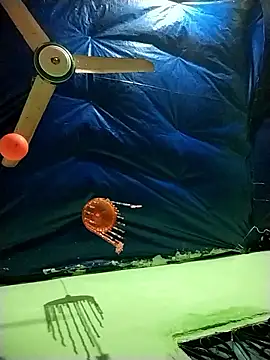 Snapshot of Shapla_1 chatting on 10, 1, 2026 Shapla 1 online show from 10, 1, 2026