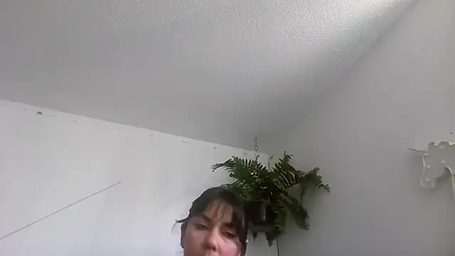 Tiramisu89 online show from 11, 1, 2026