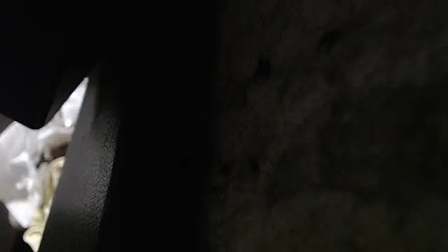 Hungry  Puppy online show from 8, 11, 2025