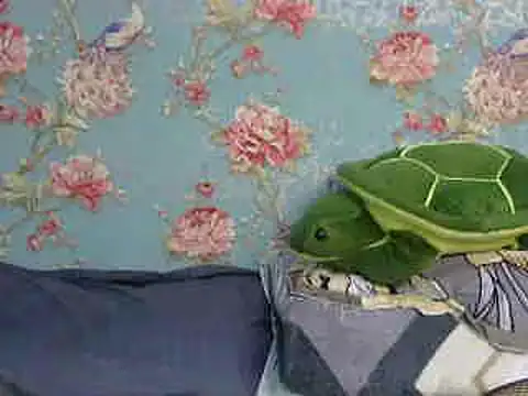 Tiny lusty online show from 16, 3, 2025