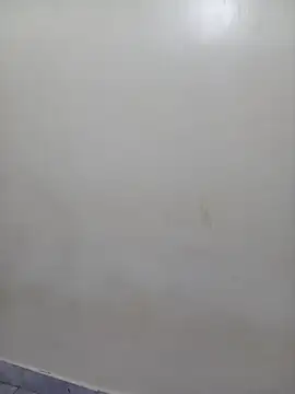 JasminePrice online show from 1, 12, 2025