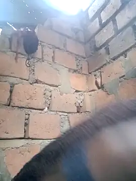 Black juicy24 online show from 12, 4, 2026