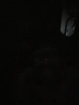 arppyyyxx online show from 11, 1, 2026