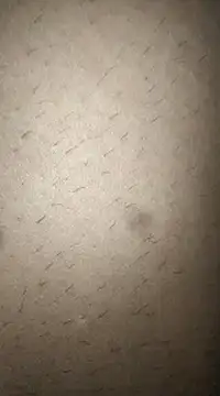 Snapshot of rohitlov150 chatting on 11, 3, 2025 rohitlov150 online show from 11, 3, 2025