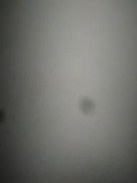 Snapshot of rohitlov150 chatting on 24, 2, 2025 rohitlov150 online show from 24, 2, 2025