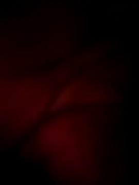 Snapshot of wildfox566 chatting on 16, 3, 2026 wildfox566 online show from 16, 3, 2026