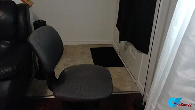 Snapshot of Thekodyy chatting on 10, 2, 2026 Thekodyy online show from 10, 2, 2026