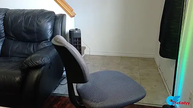 Thekodyy online show from 23, 6, 2026
