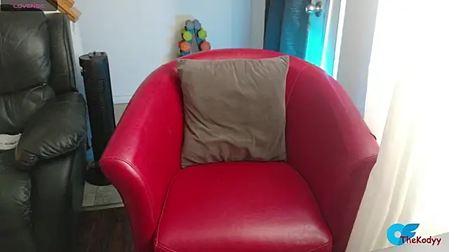 Snapshot of Thekodyy chatting on 4, 2, 2026 Thekodyy online show from 4, 2, 2026