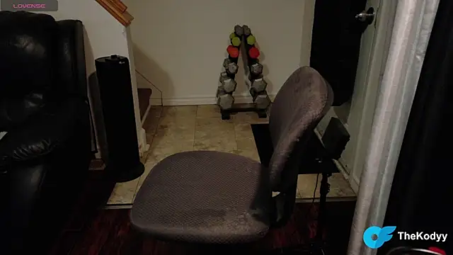 Snapshot of Thekodyy chatting on 17, 1, 2026 Thekodyy online show from 17, 1, 2026