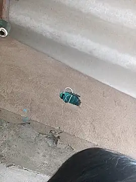 Snapshot of Little_Pau_Dirty chatting on 27, 10, 2025 Little Pau Dirty online show from 27, 10, 2025