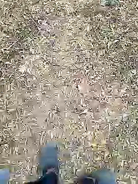 Snapshot of Mrveda66 chatting on 10, 2, 2026 Mrveda66 online show from 10, 2, 2026