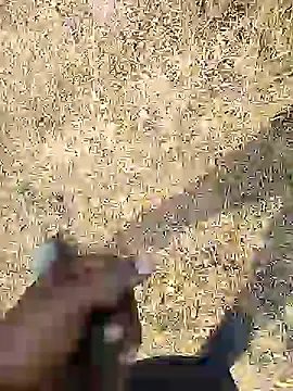 Snapshot of Mrveda66 chatting on 18, 2, 2026 Mrveda66 online show from 18, 2, 2026