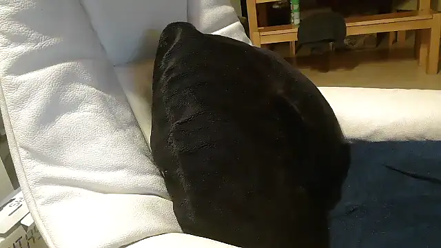 defttonguexxx online show from 8, 1, 2026