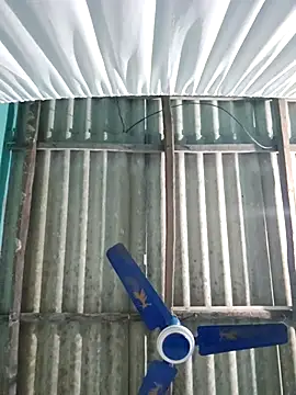 Snapshot of hotbaby_5 chatting on 26, 11, 2025 hotbaby 5 online show from 26, 11, 2025