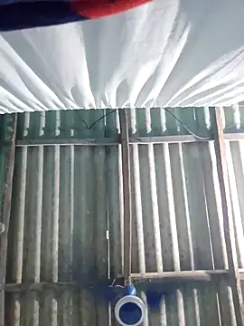 Snapshot of hotbaby_5 chatting on 6, 11, 2025 hotbaby 5 online show from 6, 11, 2025