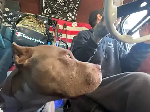 Snapshot of XMeF10 chatting on 23, 11, 2025 XMeF10 online show from 23, 11, 2025