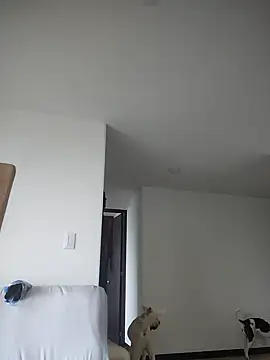 Snapshot of 911Calling chatting on 4, 2, 2025 911Calling online show from 4, 2, 2025