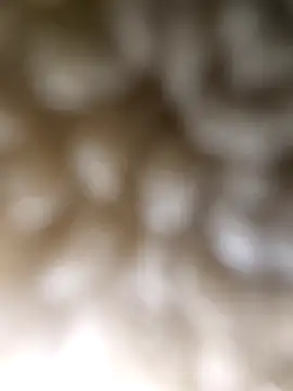 ch   ro69 online show from 5, 3, 2026