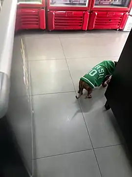 Hjsjsjsjjd online show from 14, 10, 2025