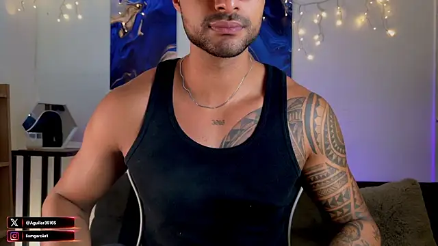 Snapshot of LiamGarcia1 chatting on 24, 7, 2026 LiamGarcia1 online show from 24, 7, 2026