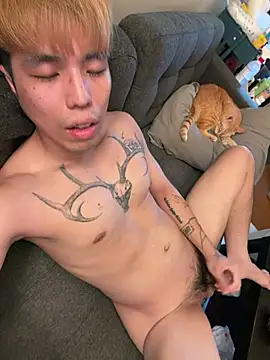 pengpeng 0310 online show from 12, 7, 2026