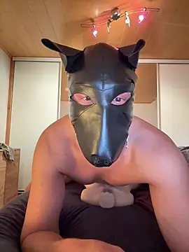 PlayDog123 online show from 9, 1, 2026